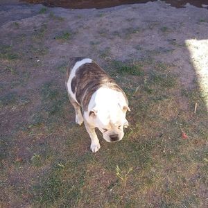 Meet your Posher, Domingo